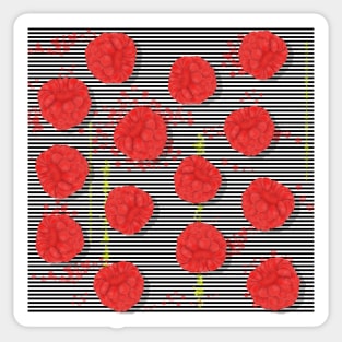 Raspberry Sticker